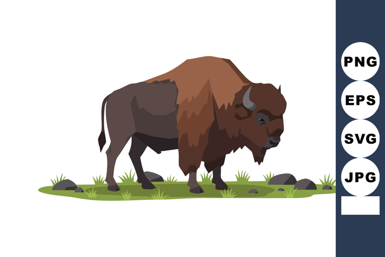 Buffalo Clipart Image 21