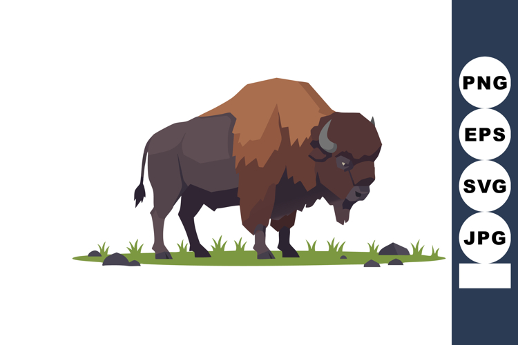 American bison grazing on grass with rocks vector illustrati