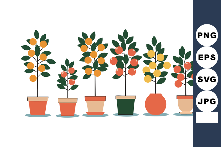 Fruit Vector Image 8