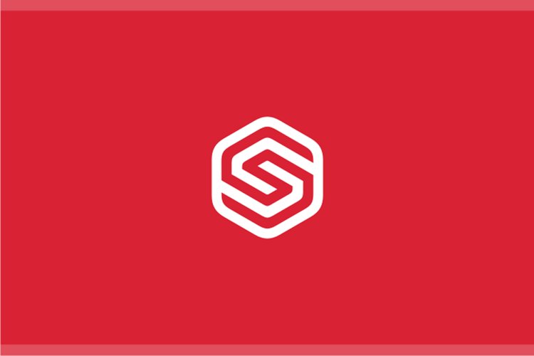 Letter S Logo