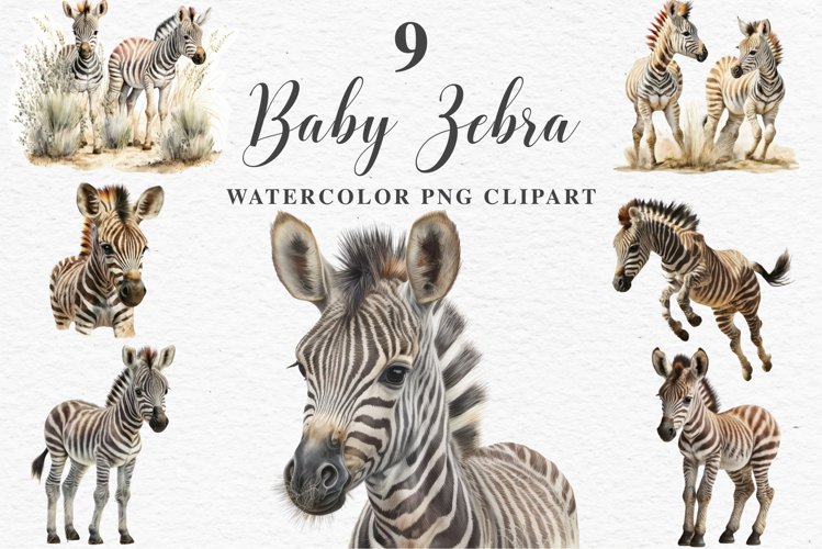 Zebra Illustration Image 15