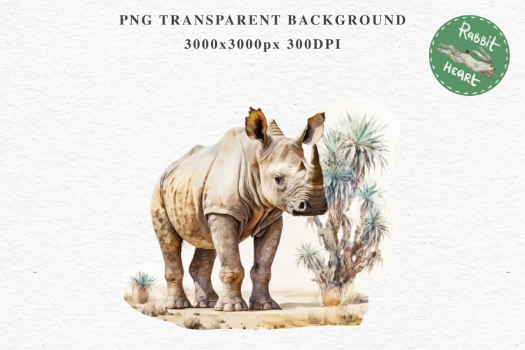 African Baby Rhinoceros Safari Animals Clipart Savanna PNG