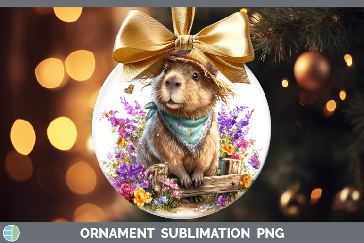 Bauble Clipart Image 17