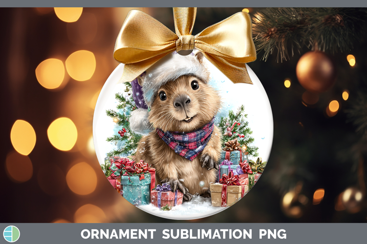 Bauble Clipart Image 14