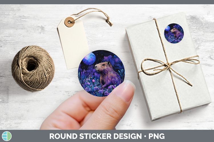 Safari Galaxy Capybara Stickers | Round Labels Designs