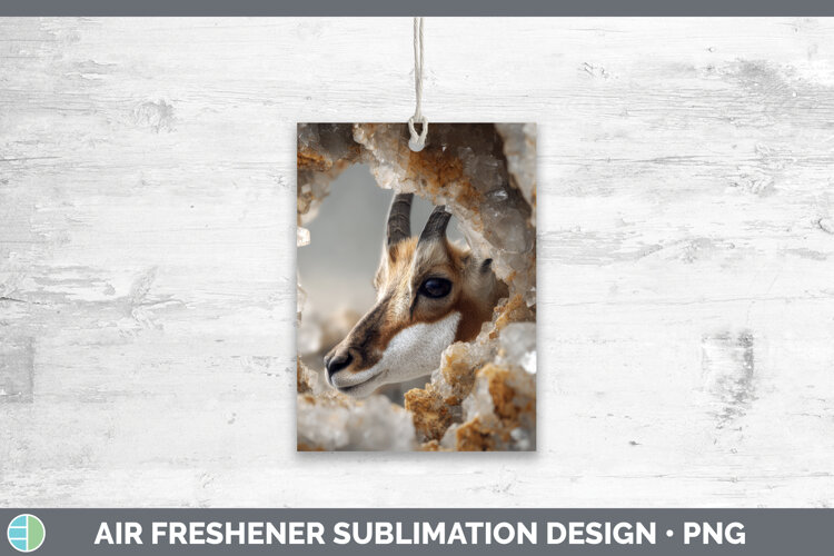 GorgeousSafari Geode Wall Air Freshener design.