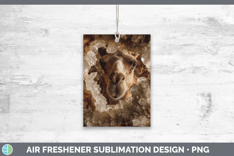 GorgeousSafari Geode Wall Air Freshener design.
