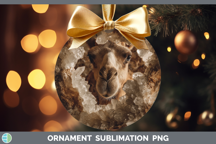 Bauble Clipart Image 24