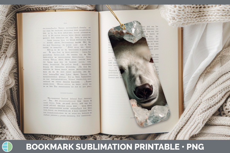 Polar Bear Clipart Image 21
