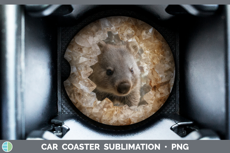 Car Coaster Sublimation Designs Image 20