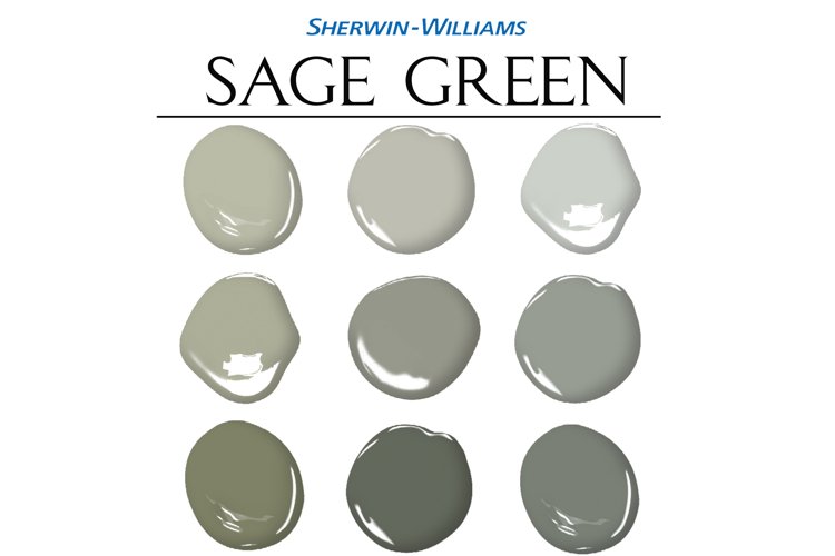 Sage Green Paint Palette, Sherwin Williams, Sage Green Wall