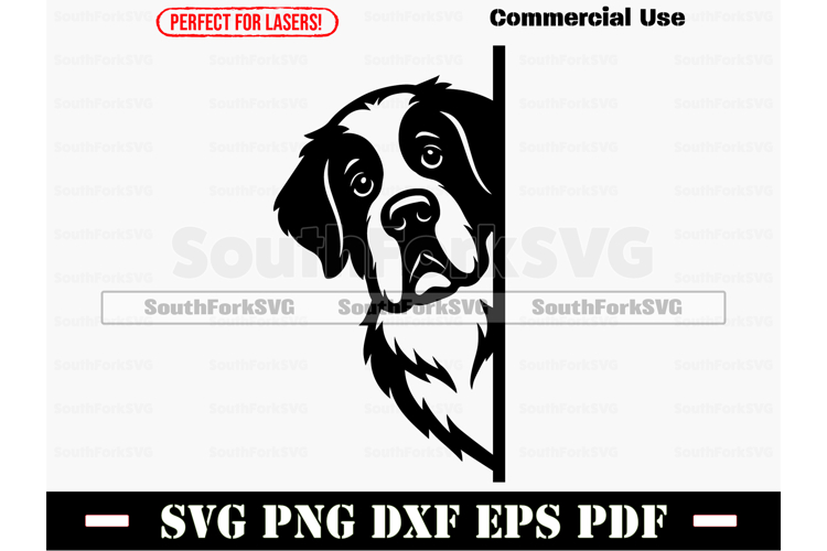 Cat Logo Design Image 24