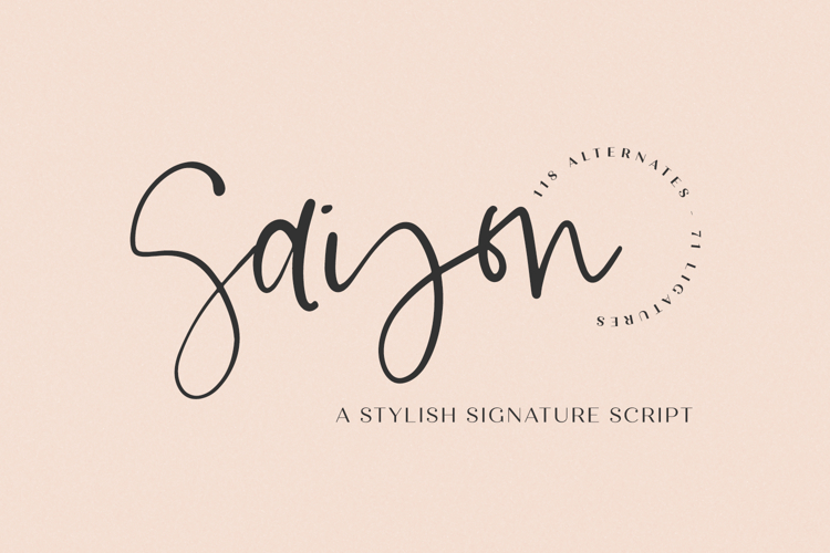 Signature Fonts Image 8