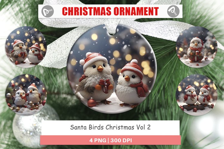 Christmas Ornaments Santa Birds