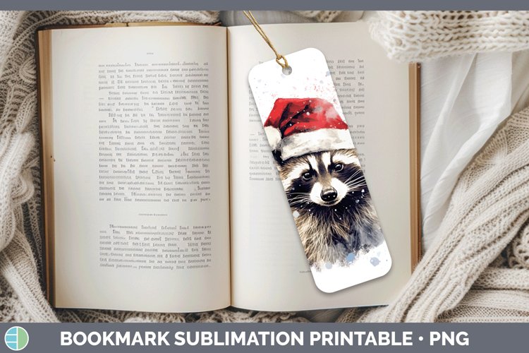 Raccoon Clipart Image 13