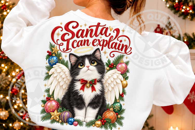 Santa I Can Explain Christmas Cat PNG
