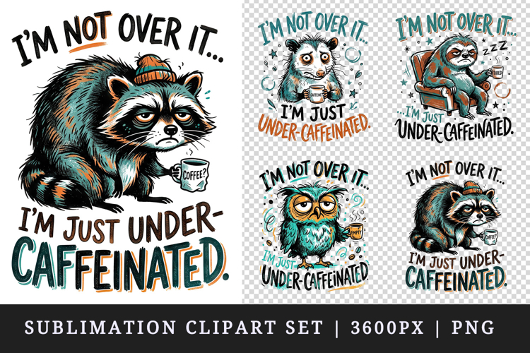 Raccoon Drawing Image 19