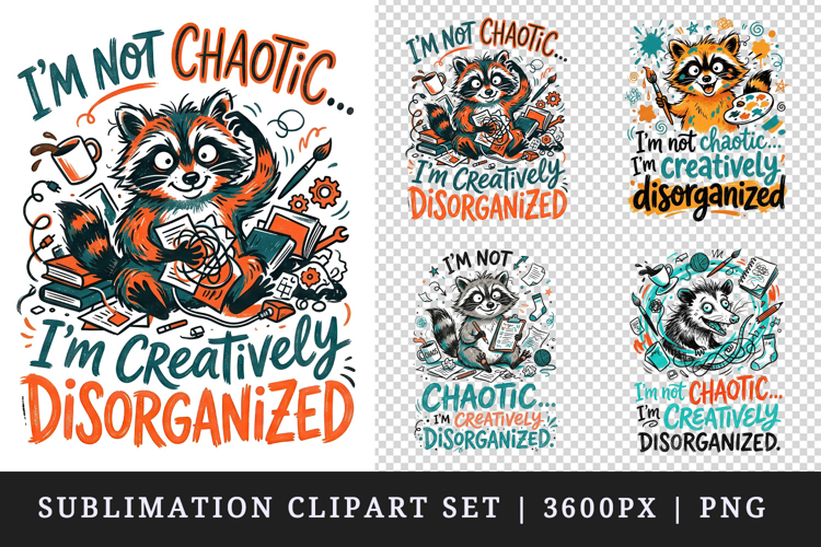 Raccoon Drawing Image 5