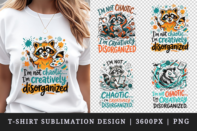 Raccoon Drawing Image 9