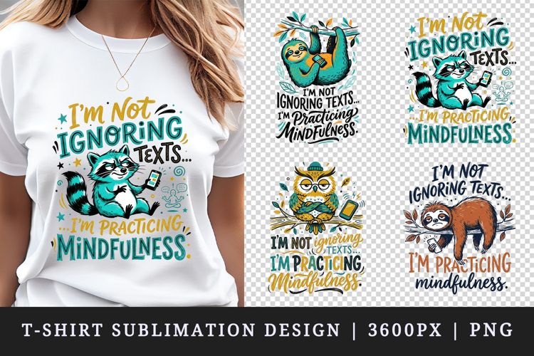 Raccoon Drawing Image 4