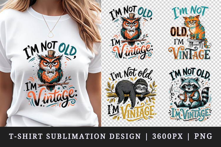 Sarcastic Quote t-shirt printable sublimation design png