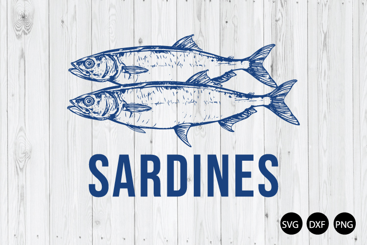 Sardine Fish SVG, Summer Trending SVG