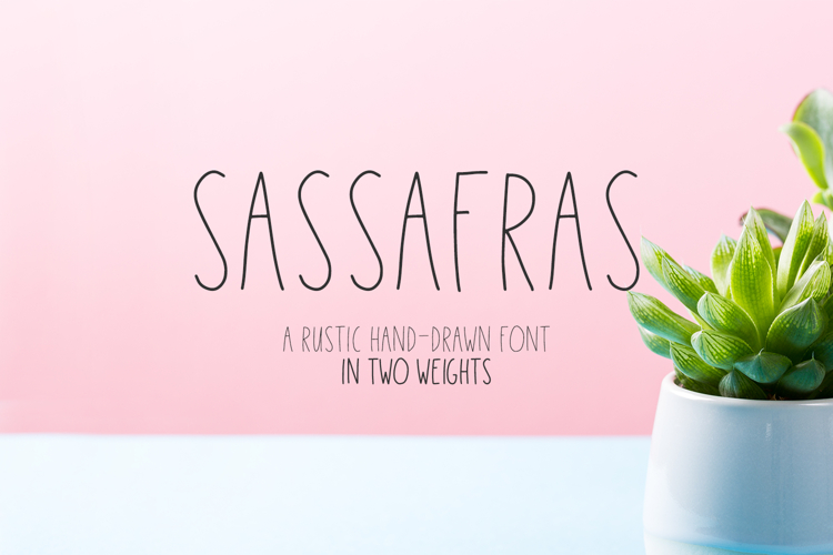 Sassafras Sans
