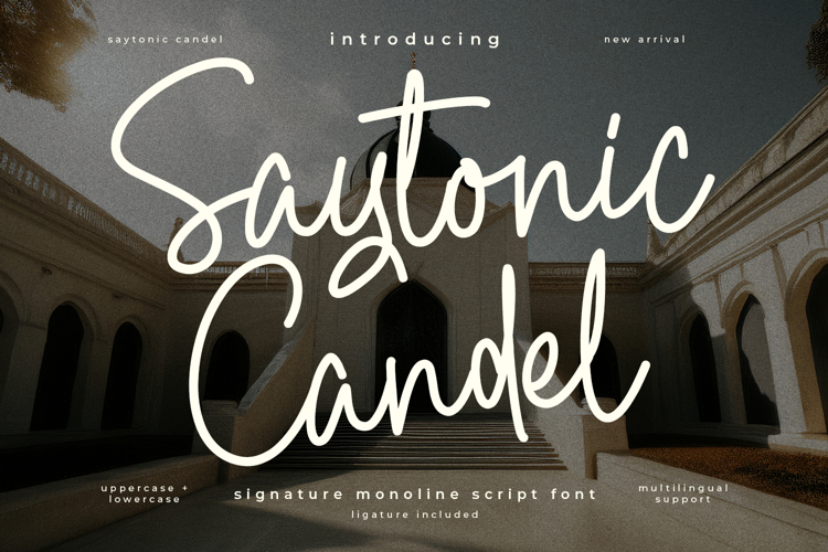 Monoline Fonts