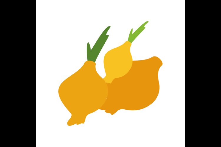 Whole onions Flat simple design vector illustrator