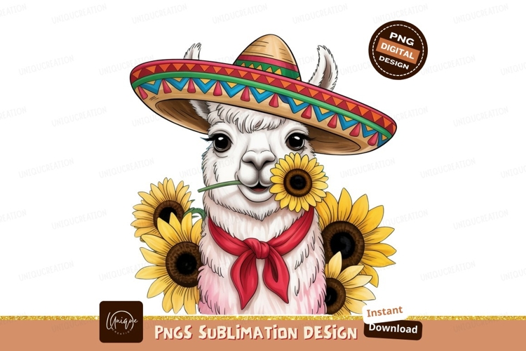 Sombrero Clipart Image 7