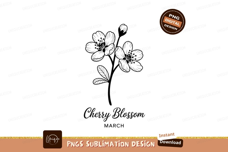 Feather Clipart Image 17