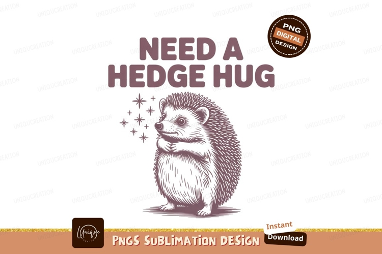 Hedgehog needing hug with stars animal cute