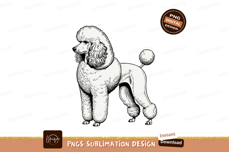 Poodle Clipart