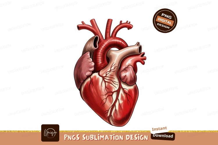 Coco Clipart Image 22
