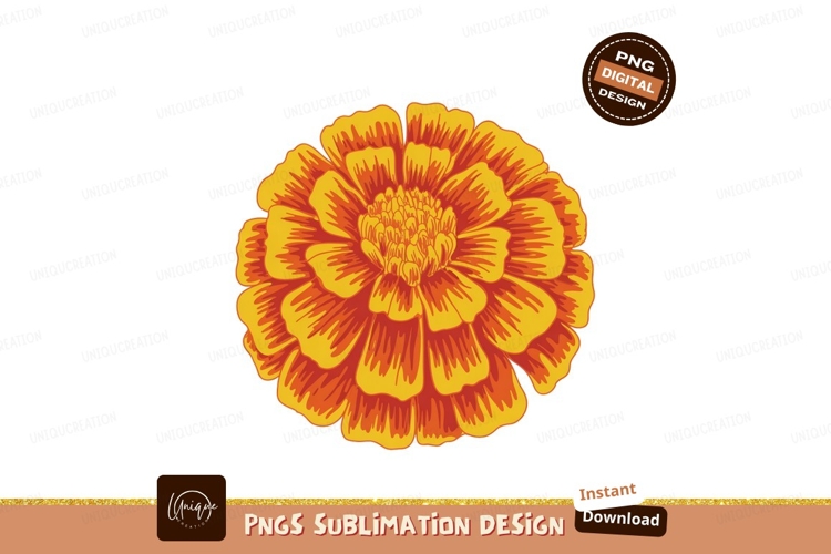 Marigold Clipart Image 16