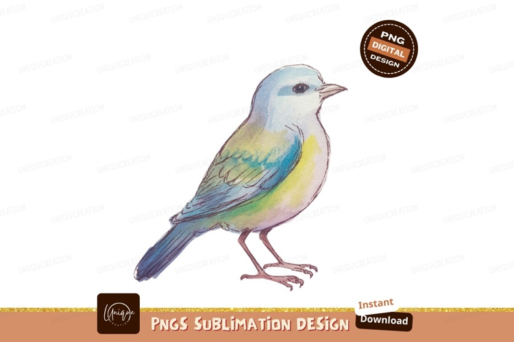 Nature Illustration Image 23