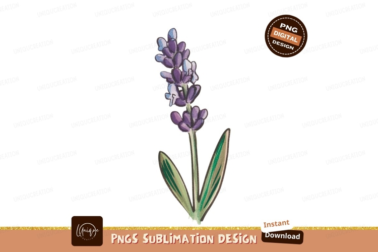 Purple Lavender Flower With Green Leaves bloom botanical