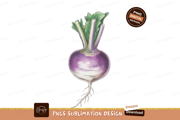 Coco Clipart Image 12