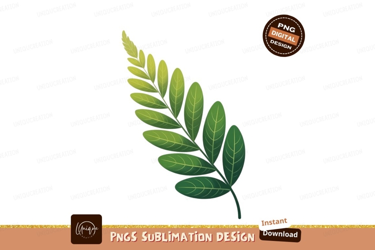 Coco Clipart Image 11