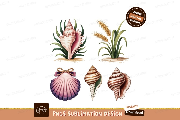 Seashells Clipart Image 20