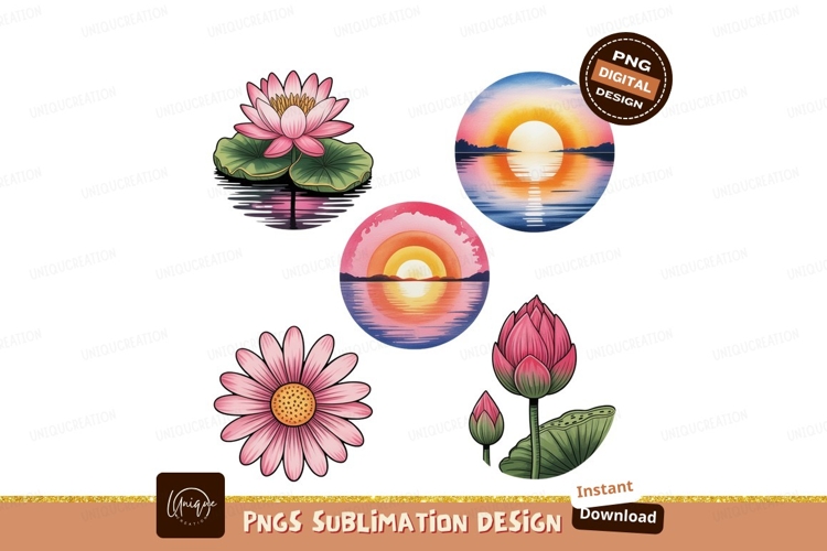 Pink lotus flowers and sunsets water lily