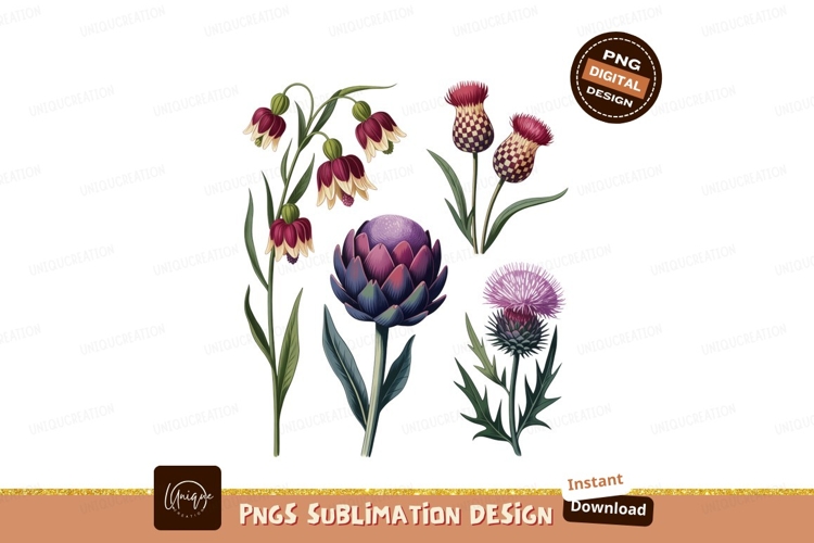 Garden Illustrations Image 3