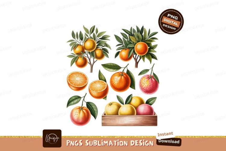 Citrus Clipart Image 18