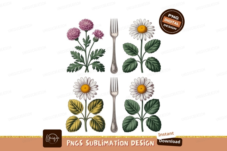 Floral botanical illustrations with forks daisy chrysanthemu