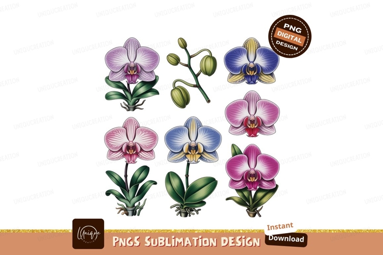Orchid Clipart
