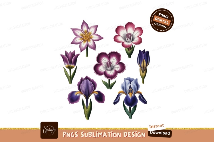 Nature Illustration Image 15