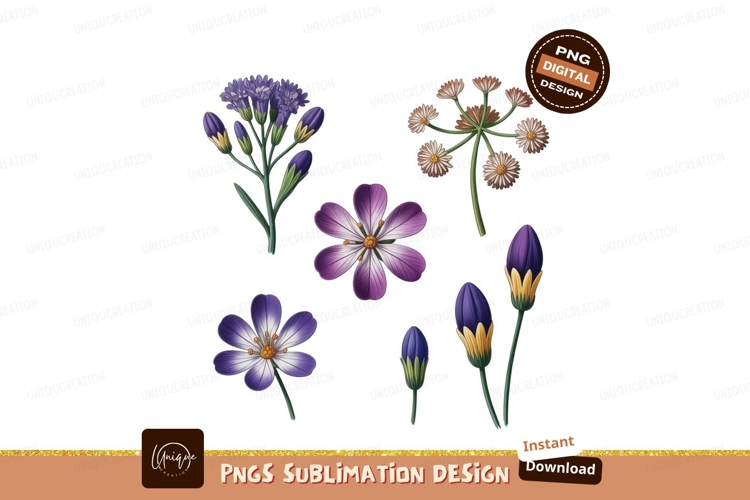 Nature Illustration Image 14