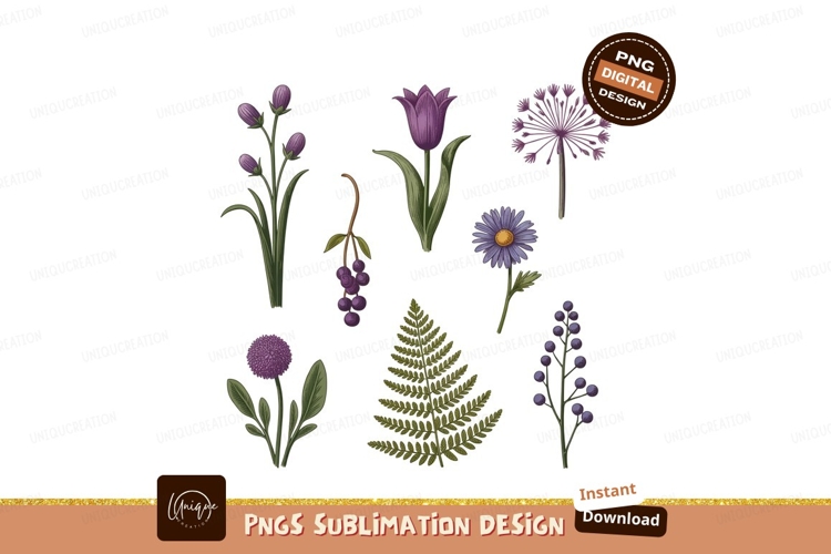 Nature Illustration Image 11