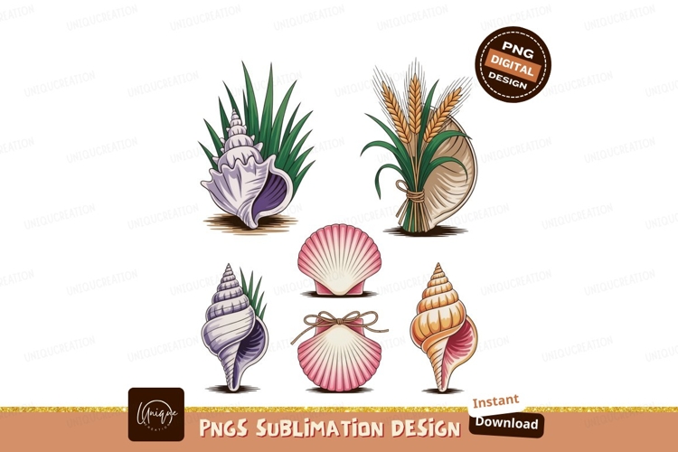 Seashells Clipart Image 17