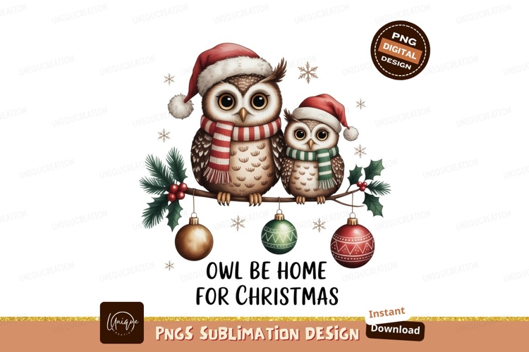 Owl Clipart Image 14